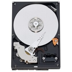 Western Digital RE2-GP WD1000FYPS 1 TB Internal Hard Drive - Bulk