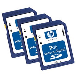PNY HP 2GB Secure Digital Card - (3 Per Pack)