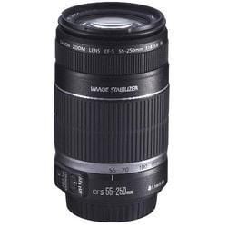 Canon EF-S 55-250mm f/ 4-5.6 IS Telephoto Zoom Lens