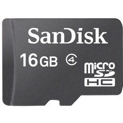 SanDisk 16GB Class 2 microSDHC Card