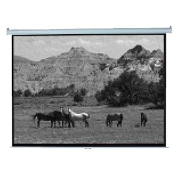 Mustang SC-M120D169 Manual Projection Screen
