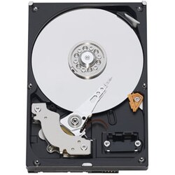 Western Digital Caviar Blue WDBAAX5000ENC-NRSN 500 GB Internal Hard D