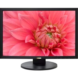 DoubleSight Displays DS-245V 24