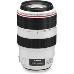 Canon EF 4426B002 70 mm - 300 mm f/4 - 5.6 Telephoto Zoom Lens for Ca