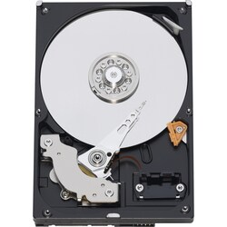 Western Digital Caviar Green WDBAAY0030HNC 3 TB Internal Hard Drive -