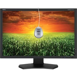 NEC Display MultiSync P241W-BK-SV 24