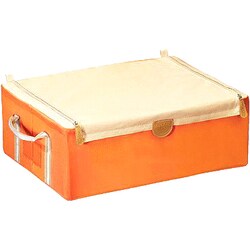 Lock&Lock Living Box Straight Zipper Classic Storage Box