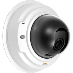 Axis P3367-V Surveillance/Network Camera - Color, Monochrome