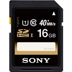 Sony 16 GB Secure Digital High Capacity (SDHC)1 Pack