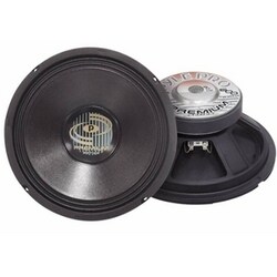 Pyle PylePro PPA10 Professional Premium Woofer