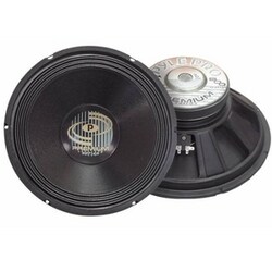Pyle PylePro PPA15 Professional Premium Woofer