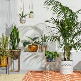 Outdoor Decor