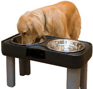 Best Dog Bowls for Large Breeds | Overstock.