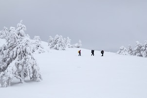 Backpackers snowshoeing through deep snow