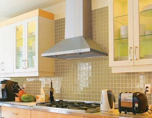 Gas range with range hood