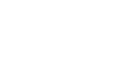 Car Infographic