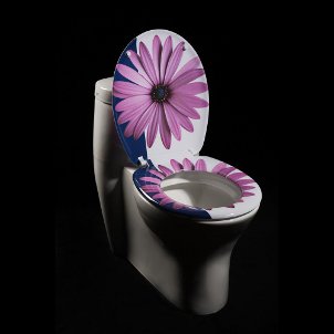 Daisy toilet seat