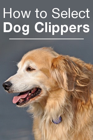 Shop Pet Grooming Supplies