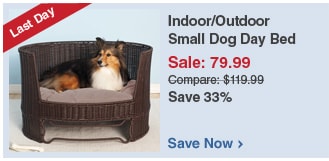 Indoor/Outdoor Small Dog Day Bed - Save Now