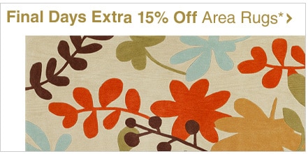 Final Days Extra 15% Off Area Rugs*