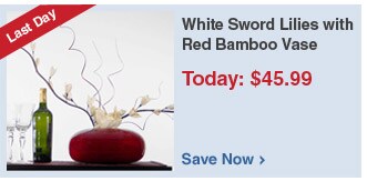 White Sword Lilies with Red Bamboo Vase - Save Now