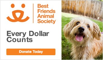 Best Friends Animal Society. Donate Today.