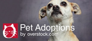 Pet Adoptions by Overstock.com