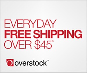 Everyday Free Shipping Over $45*