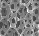 Comfort Dreams<sup></sup>