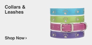 Collars, Harnesses & Leashes