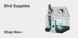 Bird Supplies