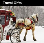 Travel Gifts