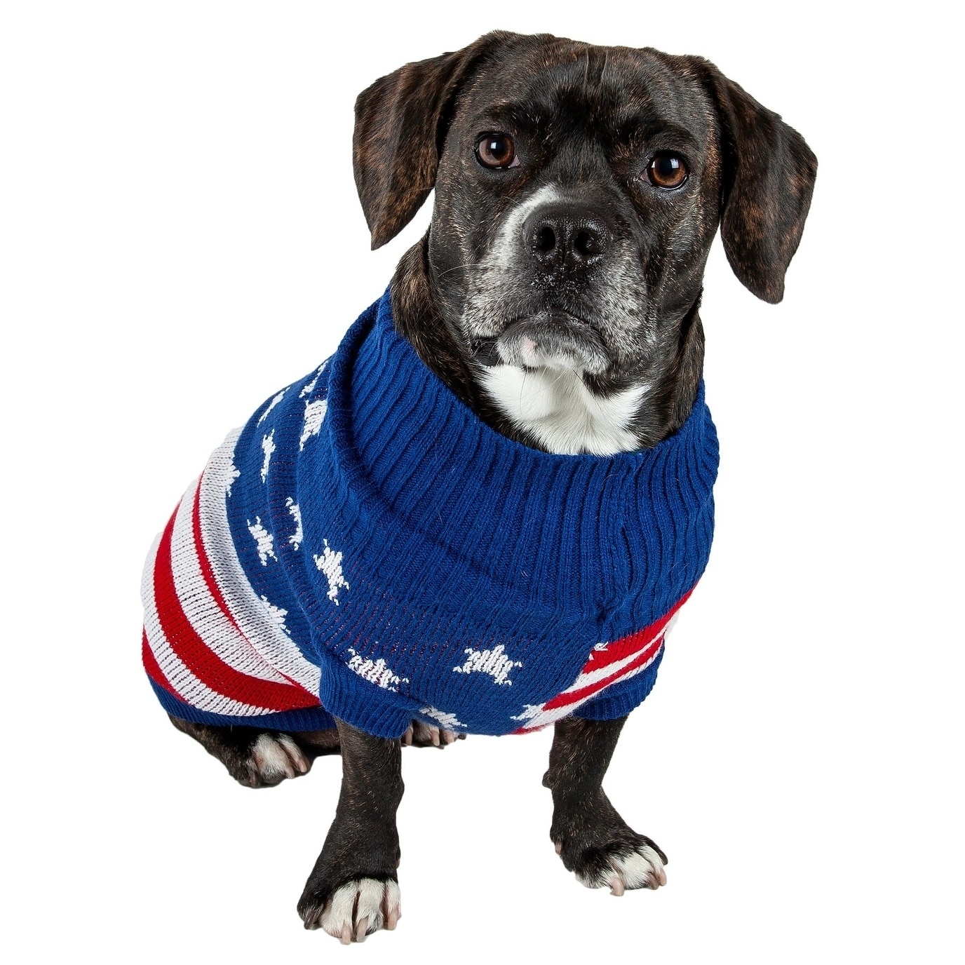 dog patriots hoodie