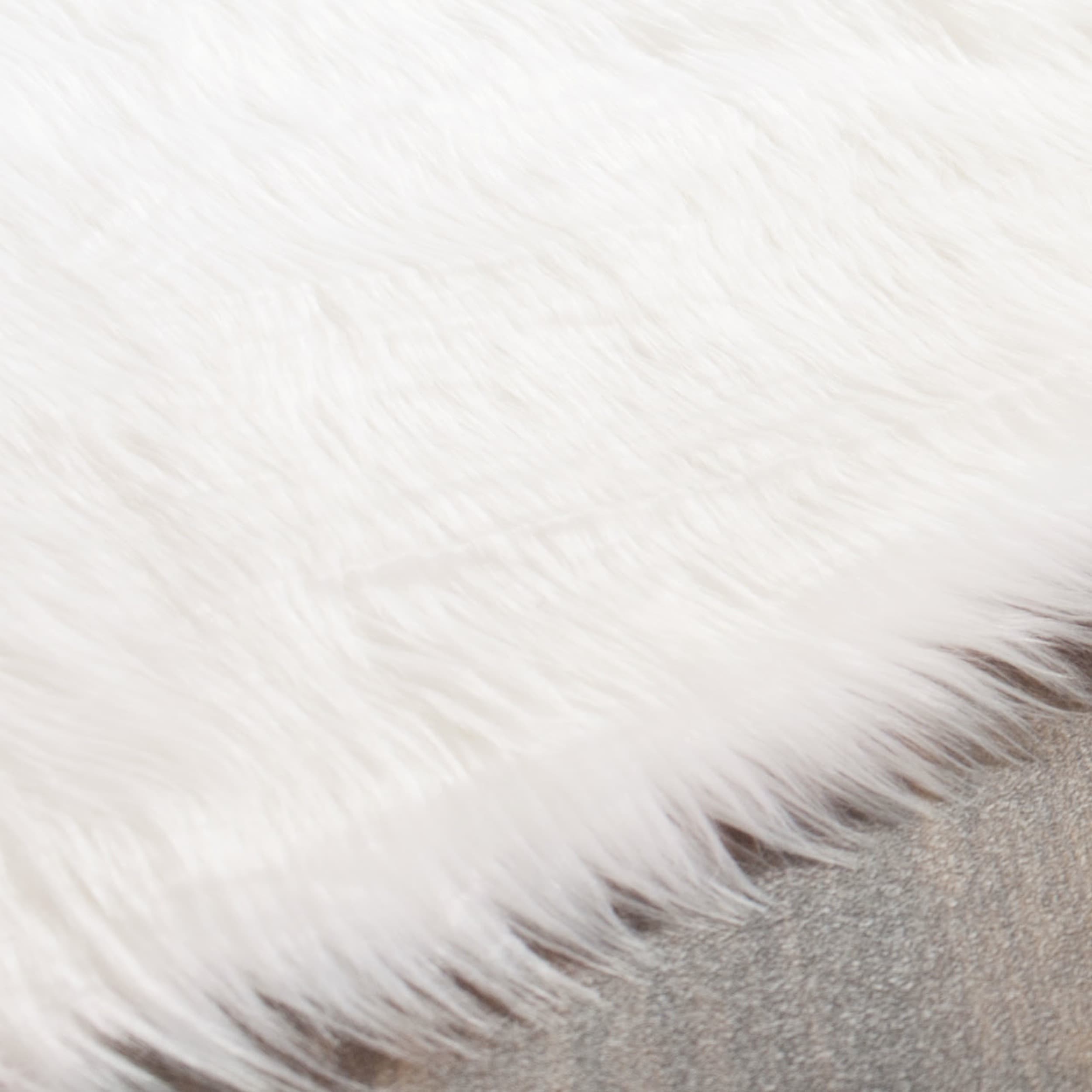 Safavieh Faux Sheepskin Ivory Anese Acrylic Rug 5 X 8 Safavieh Faux Sheepskin Ivory Anese Acrylic Rug 5 X 8 On Free Shipping Today 10468444
