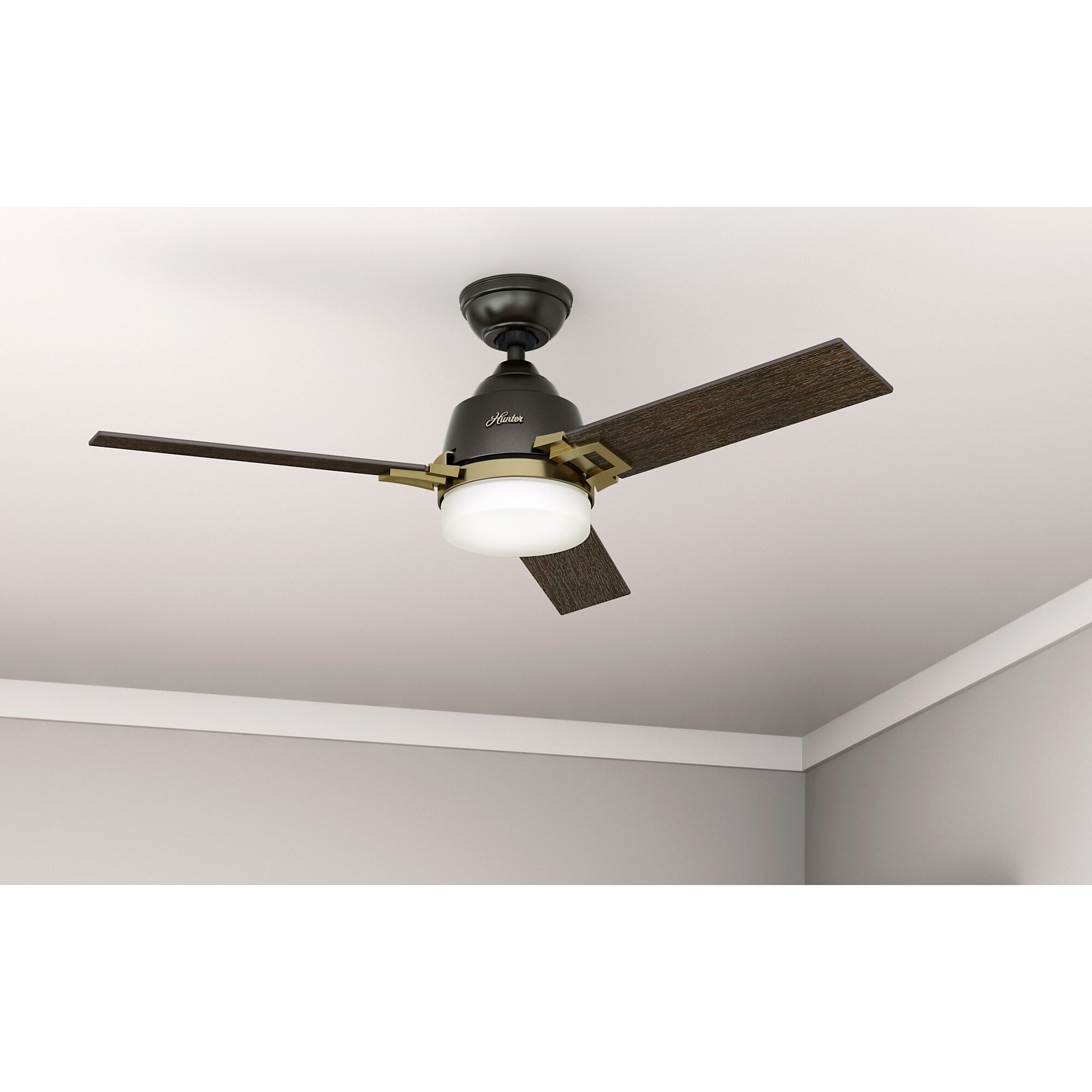 Shop Hunter Fan Leoni 48 Noble Bronze And Modern Brass W 3 Dark