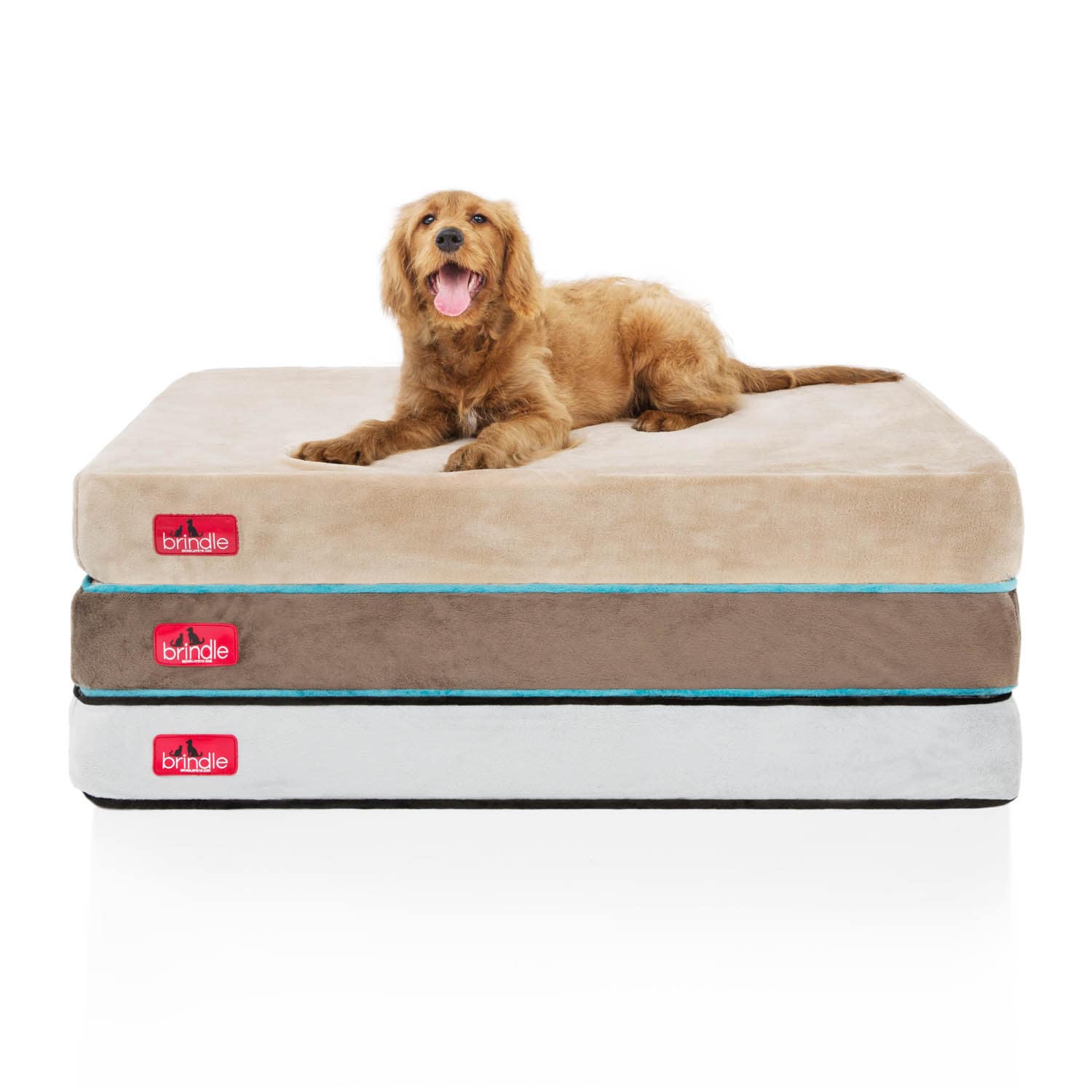 memory foam dog bed canada