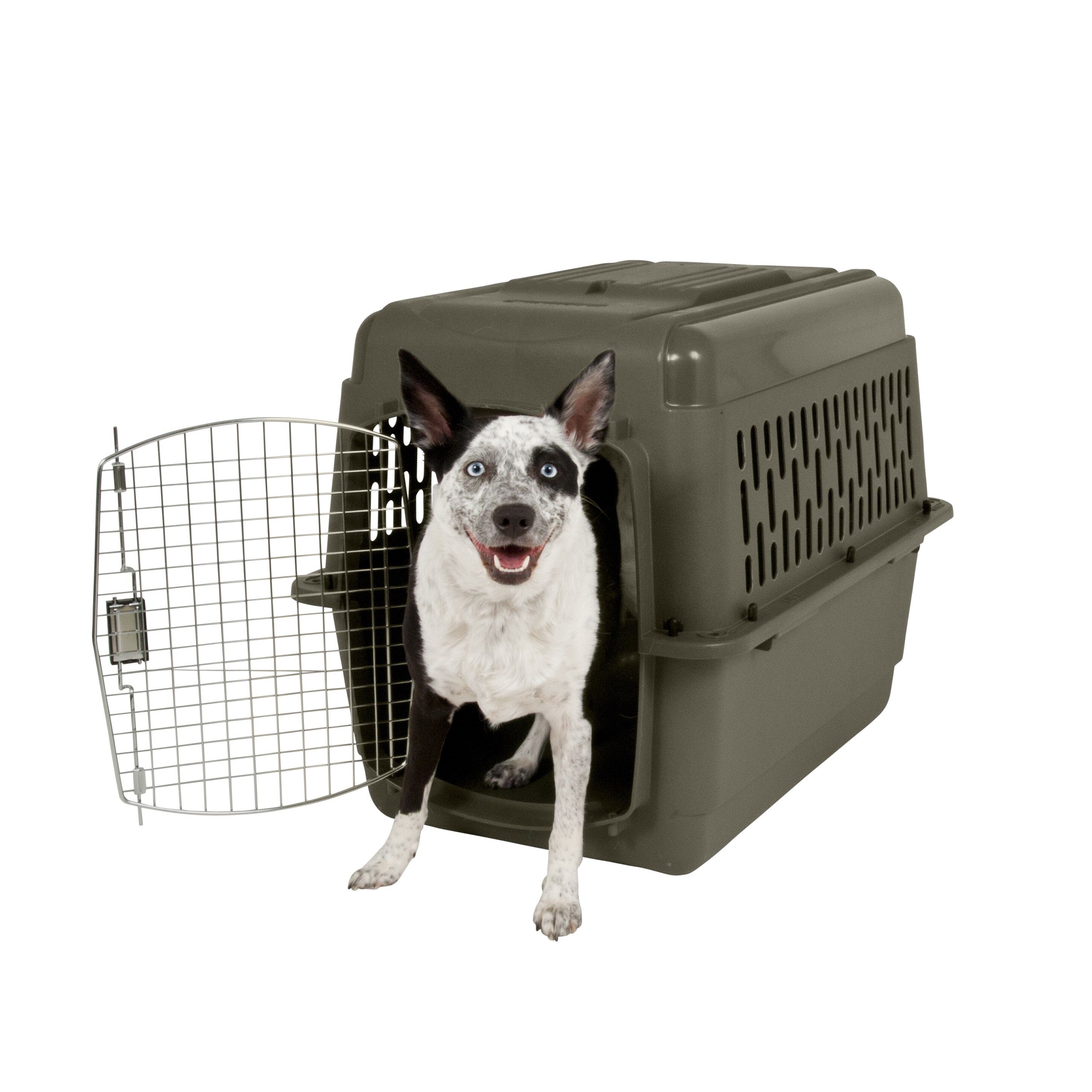 pet porter dog kennel