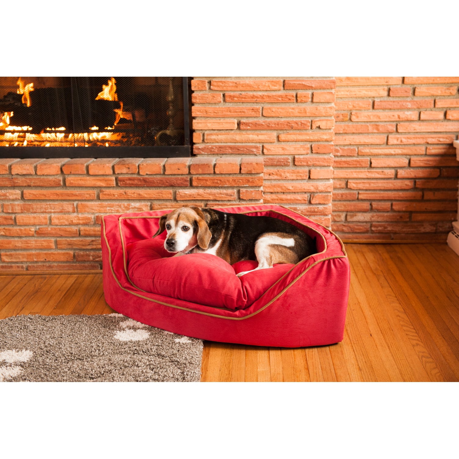 Snoozer Micro Suede Overstuffed Luxury Dog Bed Free Shipping Snoozer Micro Suede Overstuffed Luxury Dog Bed Free Shipping Today 12115858