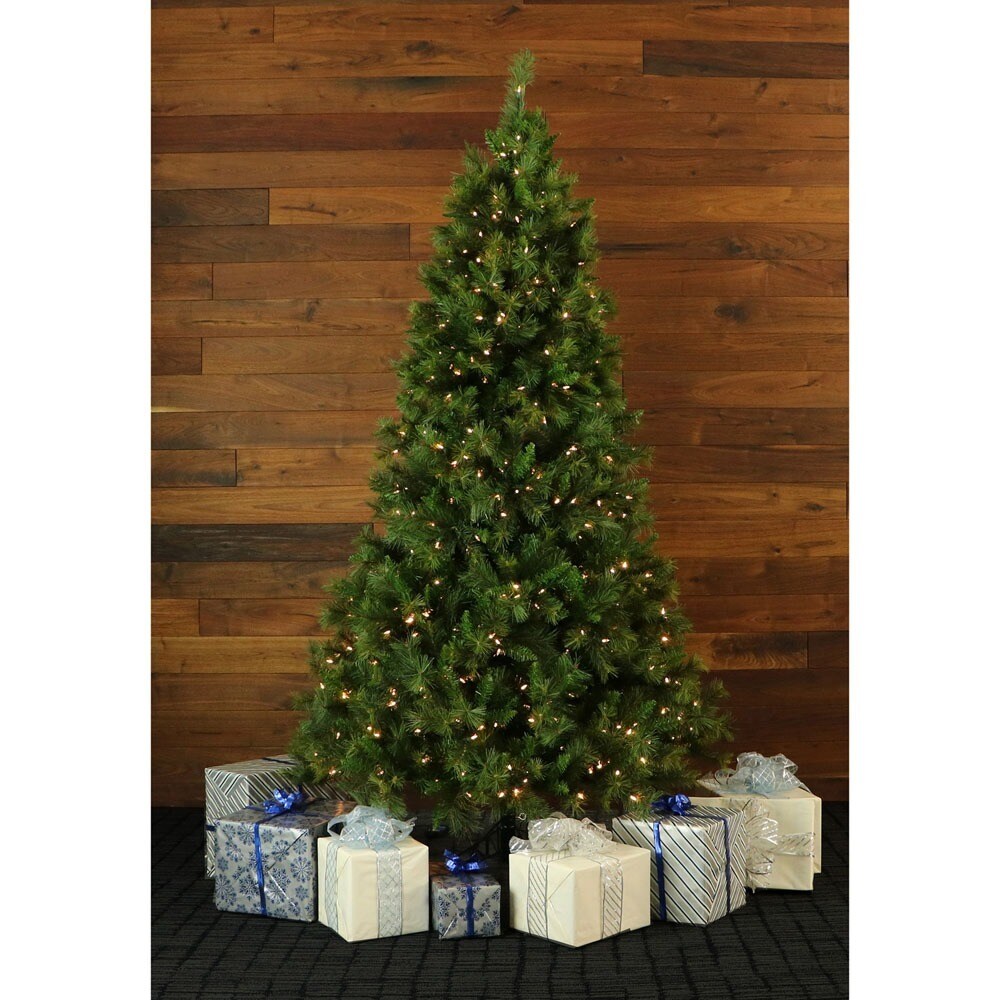 Shop Fraser Hill Farm 10 Foot Canyon Pine Christmas Tree With Smart String Lighting Shop Fraser Hill Farm 10 Foot Canyon Pine Christmas Tree With Smart String Lighting