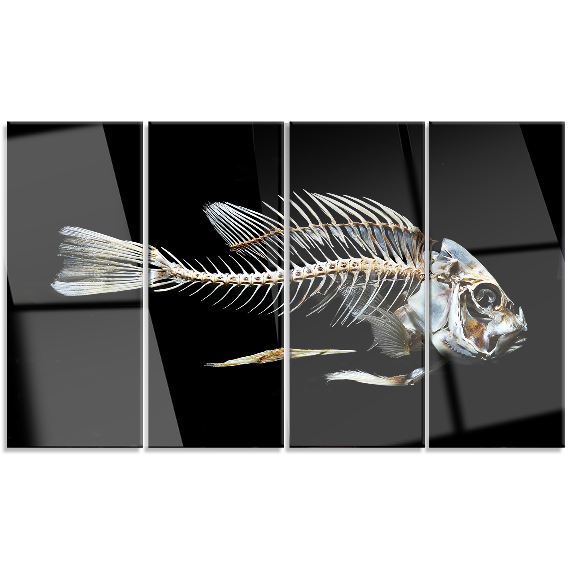 Designart Fish Skeleton Bone On Black Large Animal Metal Wall Designart Fish Skeleton Bone On Black Large Animal Metal Wall Art Free Shipping Today 13622584