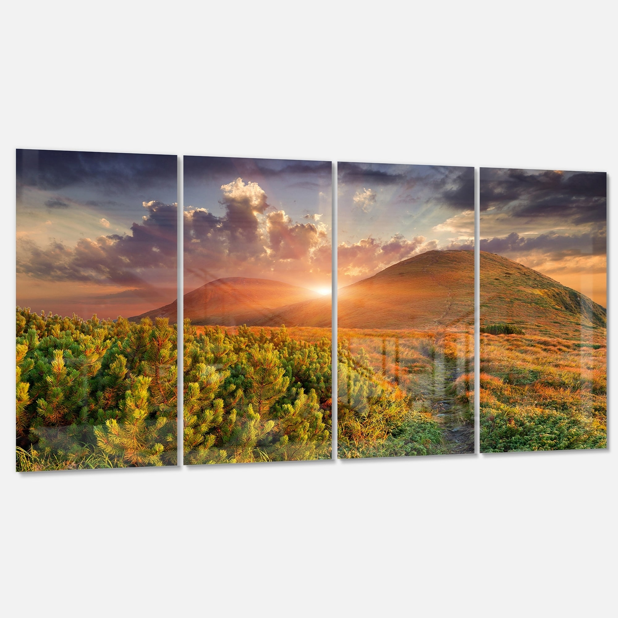 Designart Crystal Clear Creek in Mountains Wall Art Disc of 38 38x38-Disc of 38 inch Green
