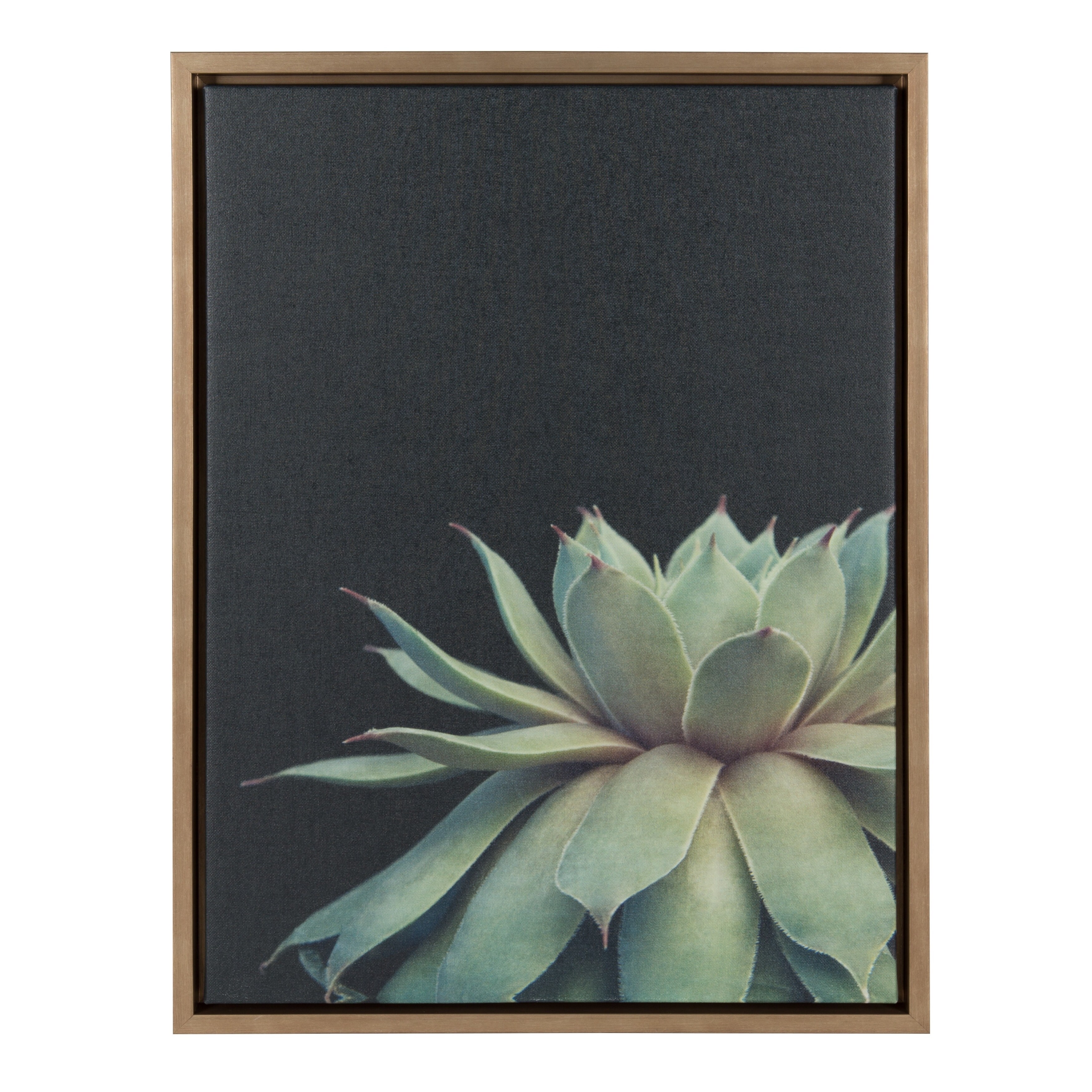 shop sylvie succulent 18x24