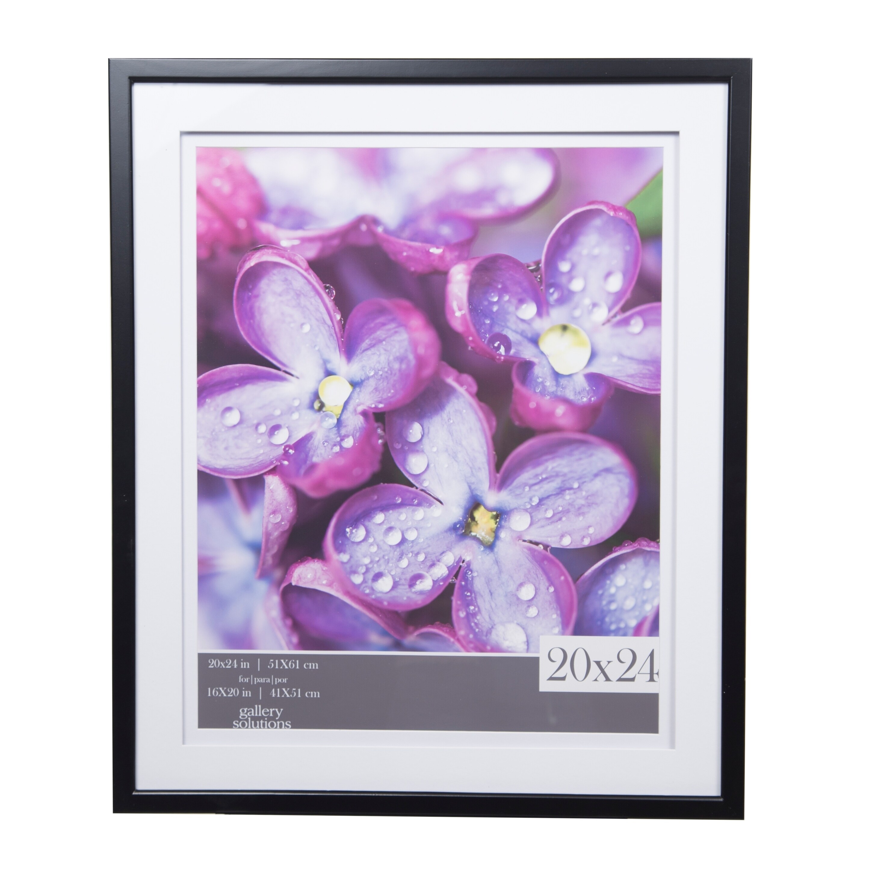 Shop Gallery 20x24 Double Mat To 16x20 Picture Frame Ships To