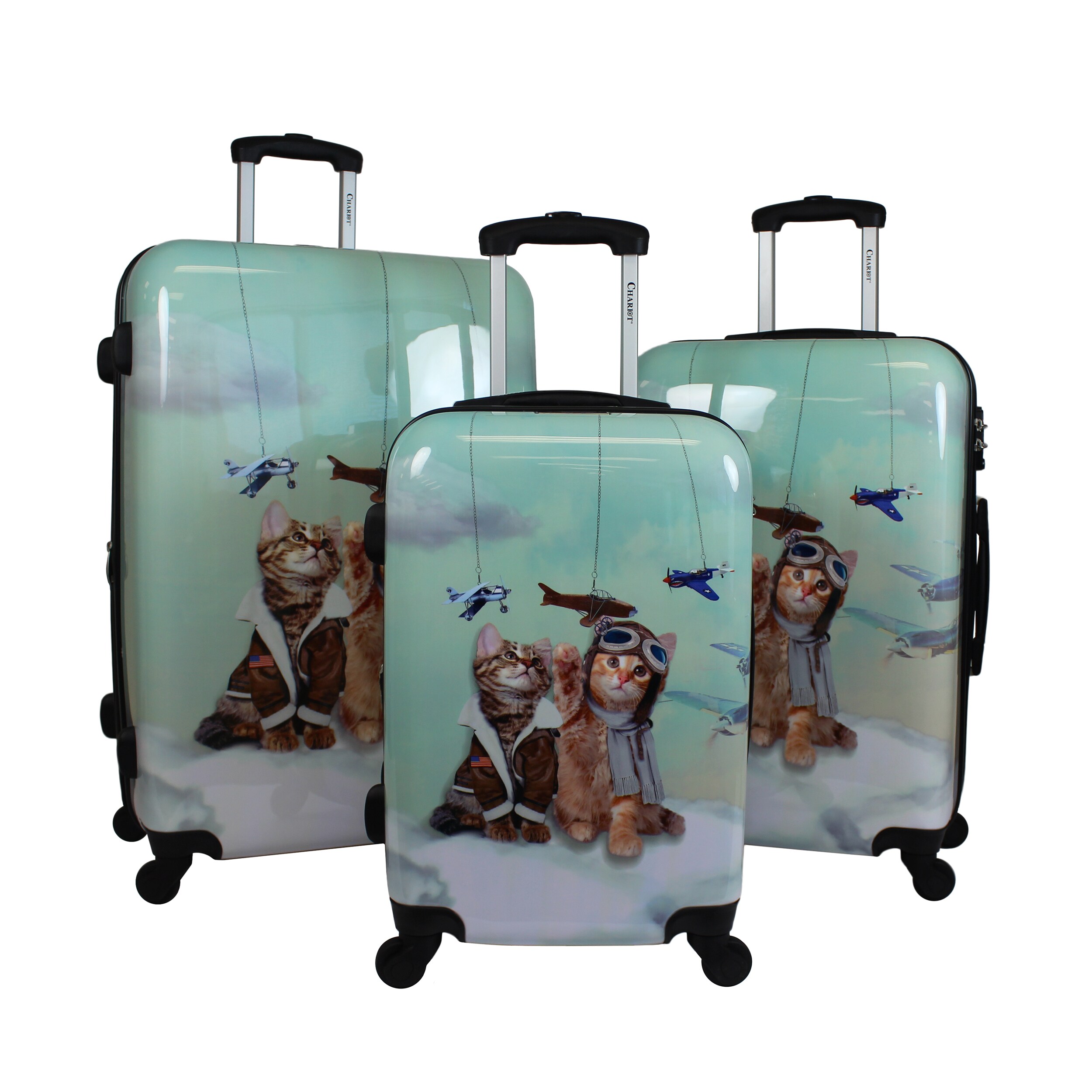 cat luggage set