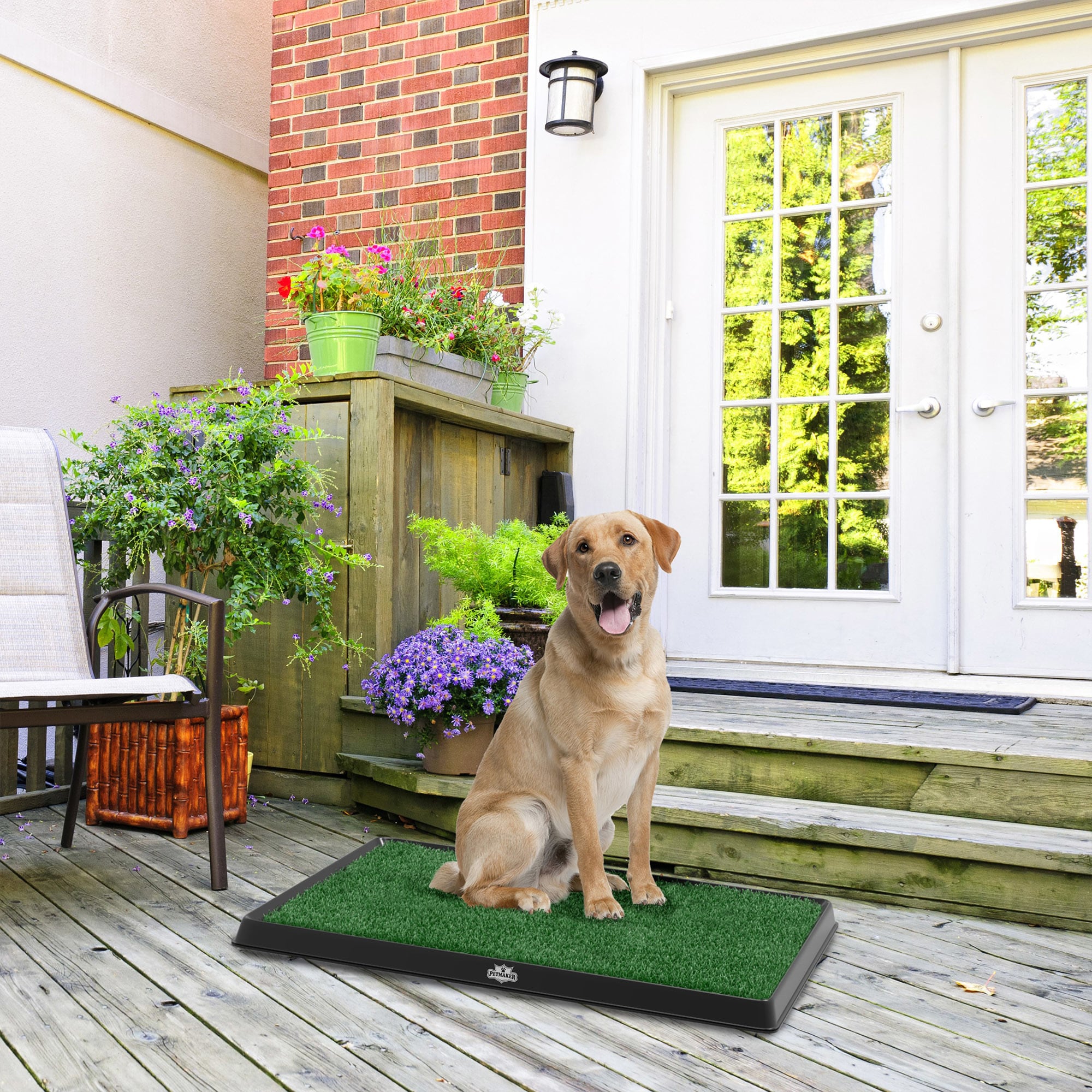 puppy potty trainer indoor grass