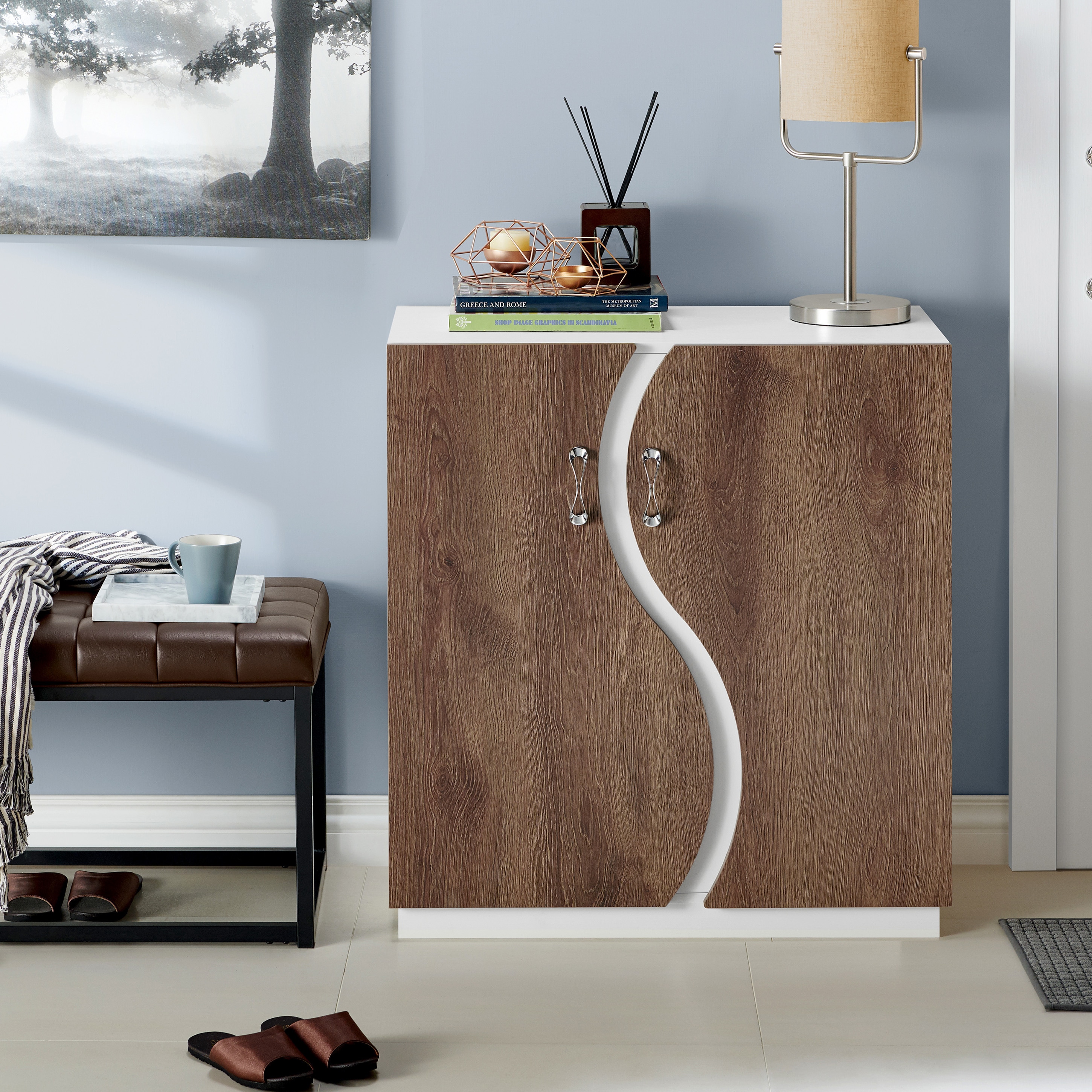 Furniture Of America Balto Contemporary Two Tone Shoe Cabinet Furniture Of America Balto Contemporary Two Tone Shoe Cabinet