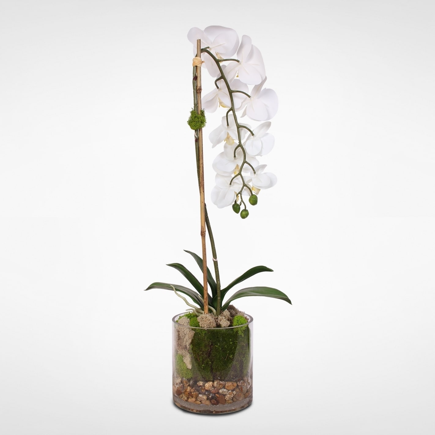 Real Touch White Phalaenopsis Orchid And Leaf In A Sleek Real Touch White Phalaenopsis Orchid And Leaf In A Sleek