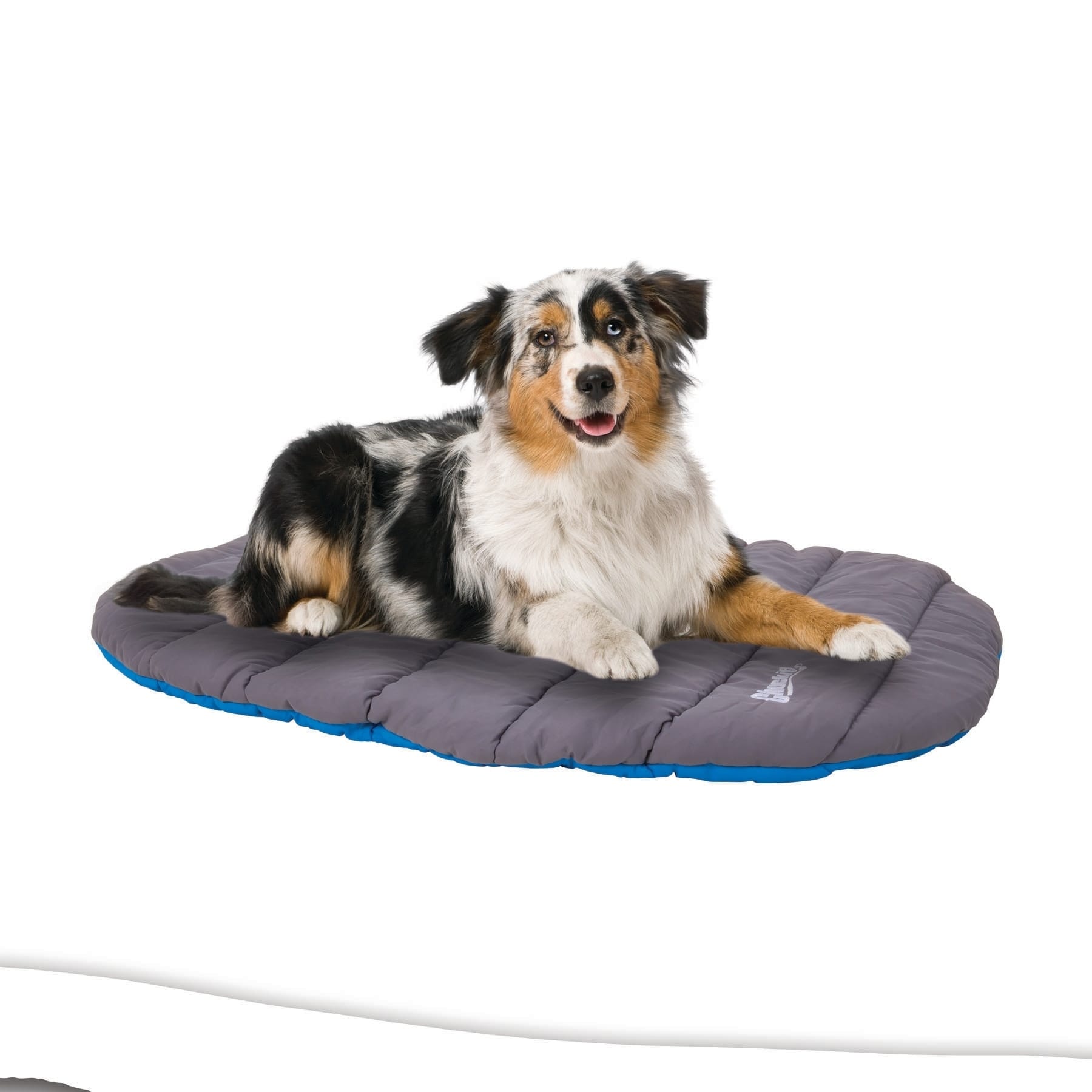 chuckit travel bed