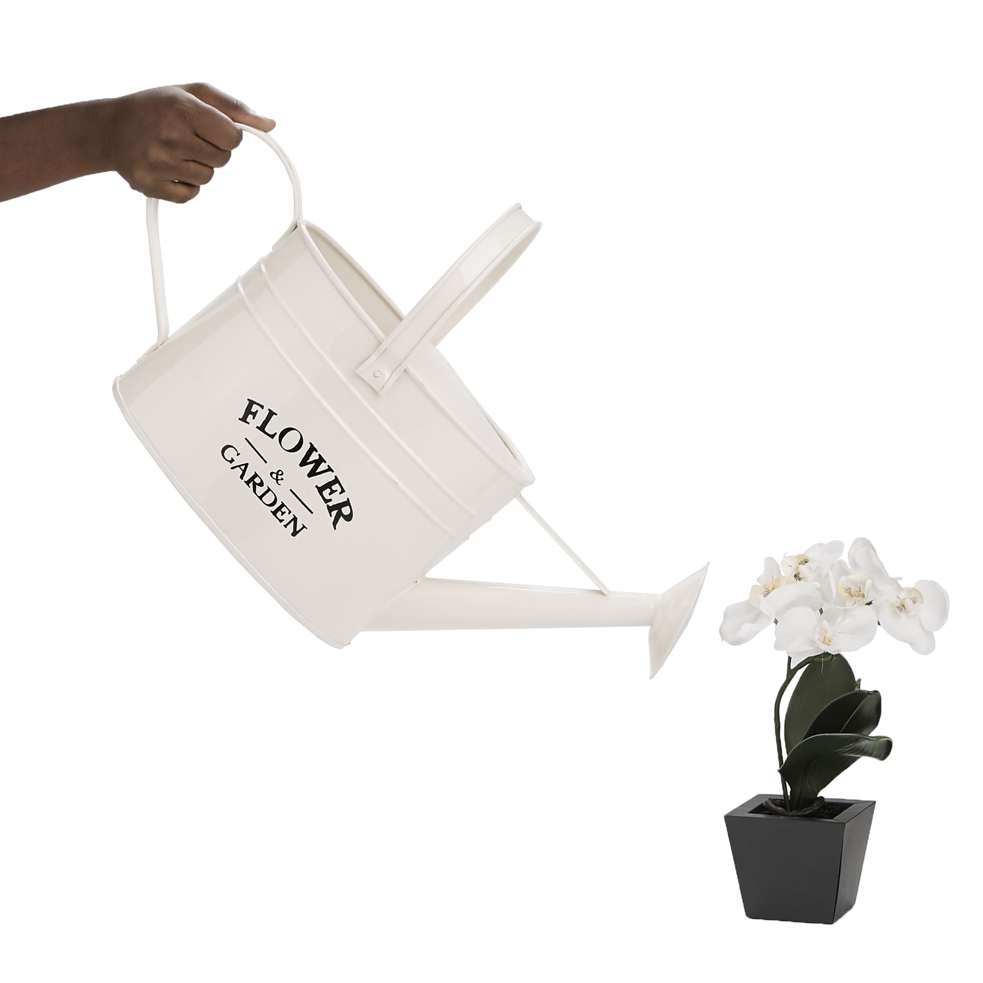 Mind Reader Iron Flower Water Pitcher With Spout Mind Reader Iron Flower Water Pitcher With Spout Watering Can Home Furnishing Decorative Arrangements White Free Shipping On Orders