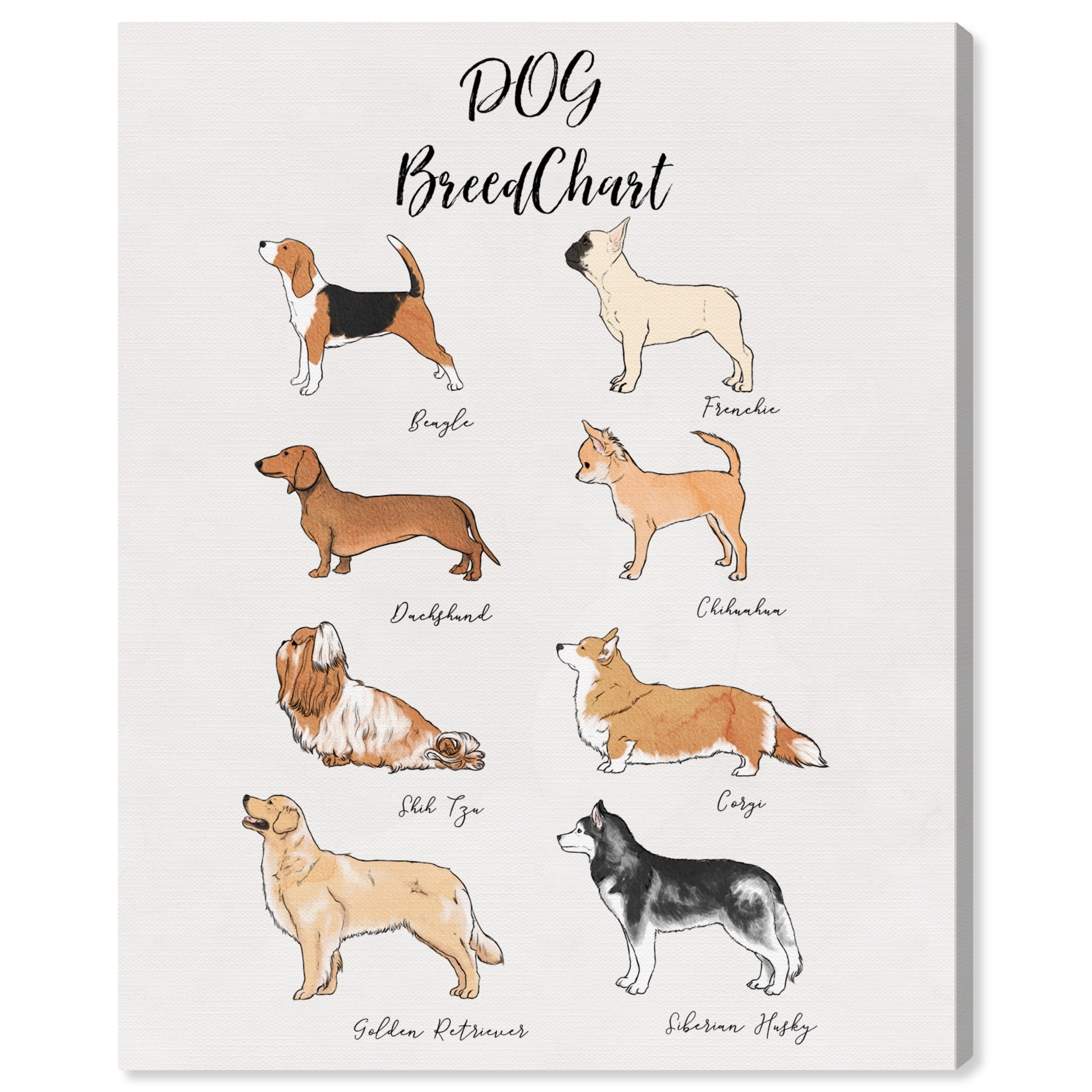 Dog Breed Chart Pictures